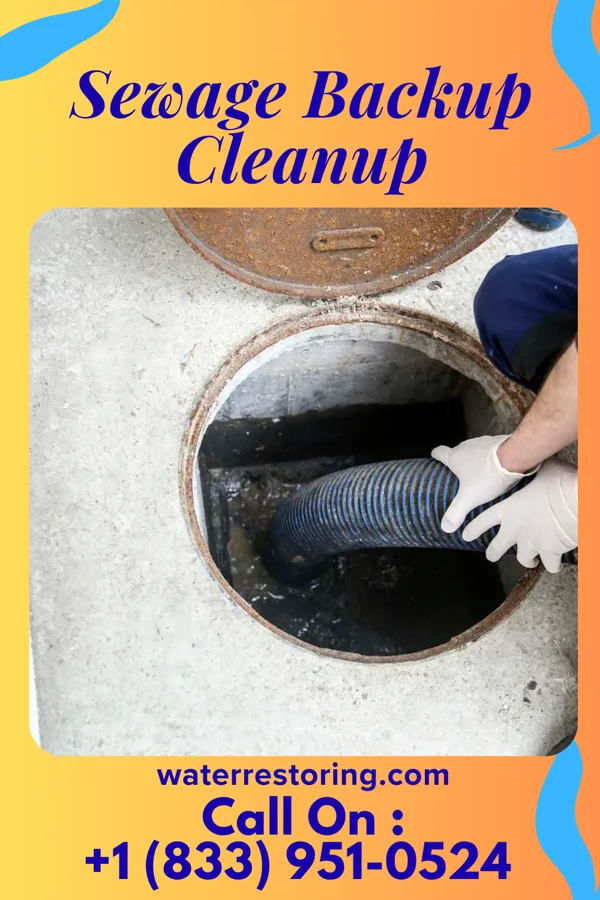 Sewage Backup Cleanup in Marion, OH